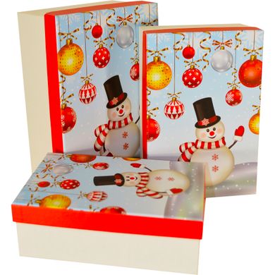 Caja de cartón decorativa para regalos 11033684, juego de 3 uds.